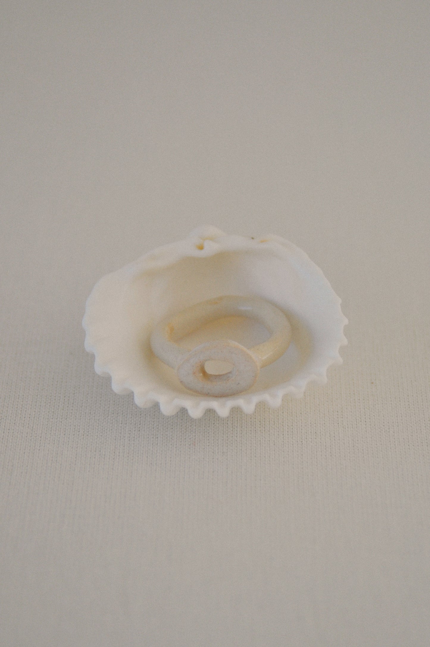 Peladilla - Bague