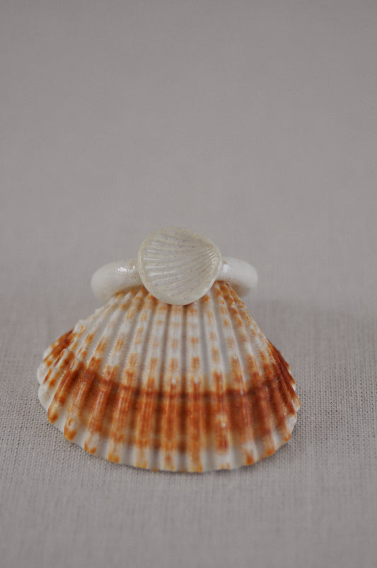 Coquillage - Bague