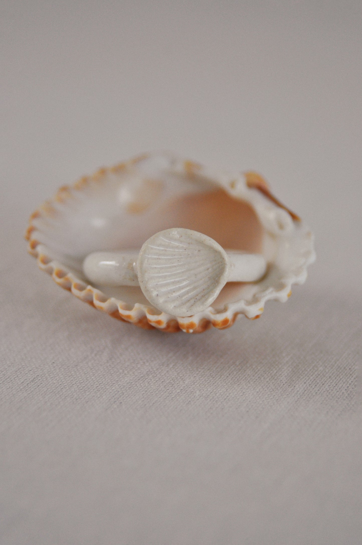 Coquillage - Bague